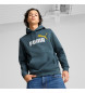 Puma Tweekleurig sweatshirt Essentials+ grijs-groen