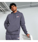 Puma Sweatshirt Ess+ 2 Col Small Log gr