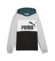 Puma Sweatshirt Ess Block cinzenta