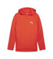 Puma Sweatshirt Evostripe rød