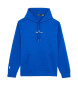 Polo Ralph Lauren Dobbeltstrikket sweatshirt med blåt logo