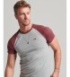 Superdry T-shirt de basebol Essential em algodão orgânico cinzento