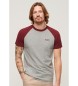 Superdry Koszulka baseballowa Essential z bawełny organicznej, szara