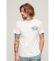 Superdry Athletic College grafisch T-shirt wit