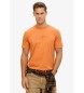Superdry Grafisk Utility Sport T-shirt orange