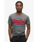 Superdry T-shirt z logo Duo Vintage szary