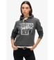 Superdry Sudadera grfica con capucha y adornos Punk  gris oscuro