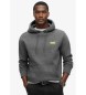 Superdry Essential Sweatshirt grå