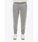 Superdry Jogger hlače z logotipom Essential sive barve