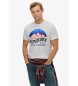 Superdry T-shirt descontraída Great Outdoors branca