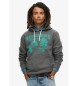 Superdry Lo-Fi Outdoor Graphic Sweatshirt grå