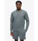 Superdry Sweatshirt à logo micro bleu