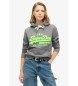 Superdry Sweatshirt Neon Vl grijs