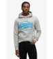 Superdry Sweatshirt Neon Vl Grafik grau