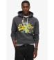 Superdry Sweatshirt New York Vl Graphic grey