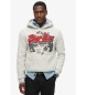 Superdry Sweatshirt New York Vl Graphic grå