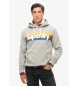 Superdry Striped hooded sweatshirt with logo Retro grey