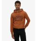 Superdry Heritage Brand brun sweatshirt