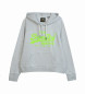 Superdry Sweatshirt Neon Vl Graphic Ub cinzento