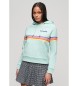 Superdry Rainbow logo sweatshirt grøn