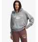 Superdry Sweat à capuche court Applique gris