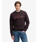 Superdry Brun Outdoor Stripe Logo-sweatshirt