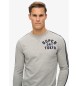 Superdry Vintage Athletic long sleeve striped t-shirt grey