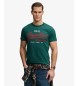 Superdry T-shirt verde classica