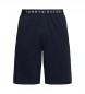 Tommy Hilfiger Gestrickte Shorts mit Logo in Marineblau
