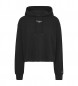 Tommy Jeans Essential Logo Sweatshirt schwarz