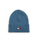 Tommy Hilfiger Erfgoedpet blauw