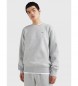 Tommy Jeans Sweatshirt Regular Fleece C Hals grå