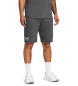 Under Armour UA Rival Terry Shorts grey