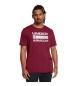 Under Armour T-shirt marrone UA Team Issue Wordmark