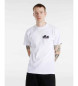 Vans T-shirt Scuttle biały